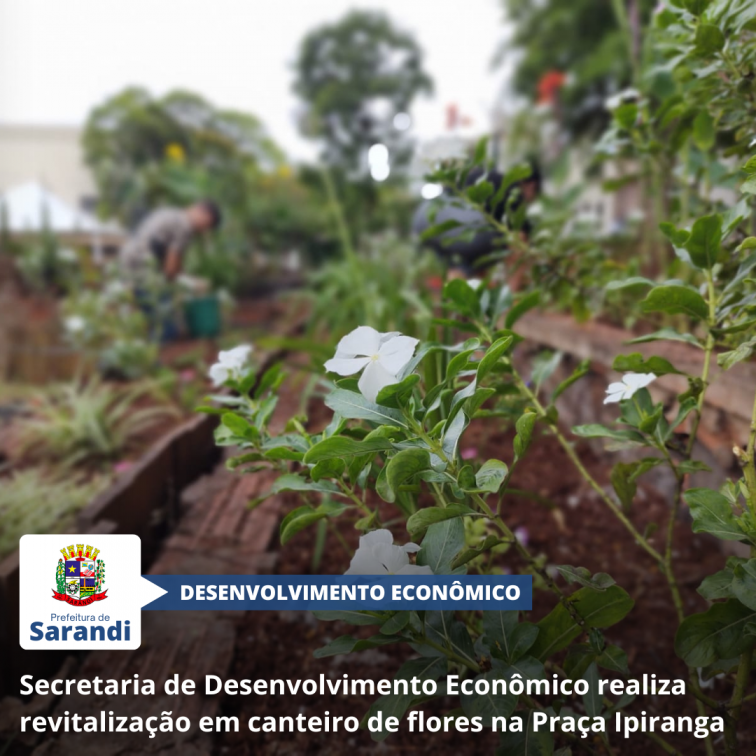 Secretaria de Desenvolvimento Econômico realiza revitalização em canteiro de flores na Praça Ipiranga